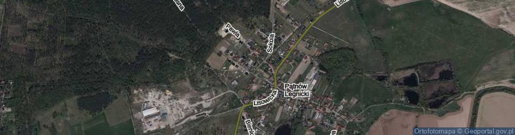 Zdjęcie satelitarne Pątnów Legnicki ul.